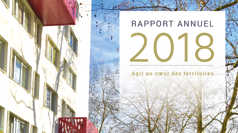 Rapport annuel 2018 : une année d’intense mobilisation en faveur du logement social